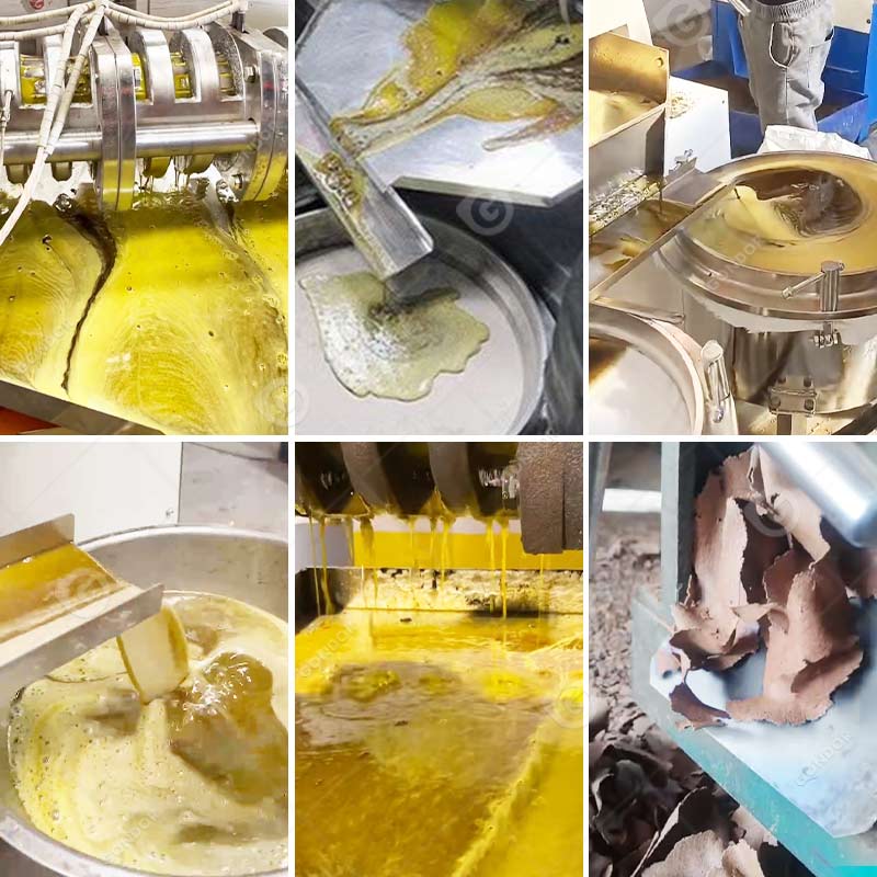 Soyabean Oil Production Make Tanzania Canola Soybean Vegetable Palm Sunflower Pressing Extraction Machine for Seed