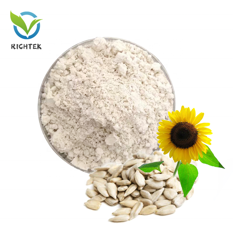 Golden Supplier Hulled Sunflower Protein Powder 60% Plant-based Sunflower Protein for Baby Food Sunflower Kernal Protein 60%