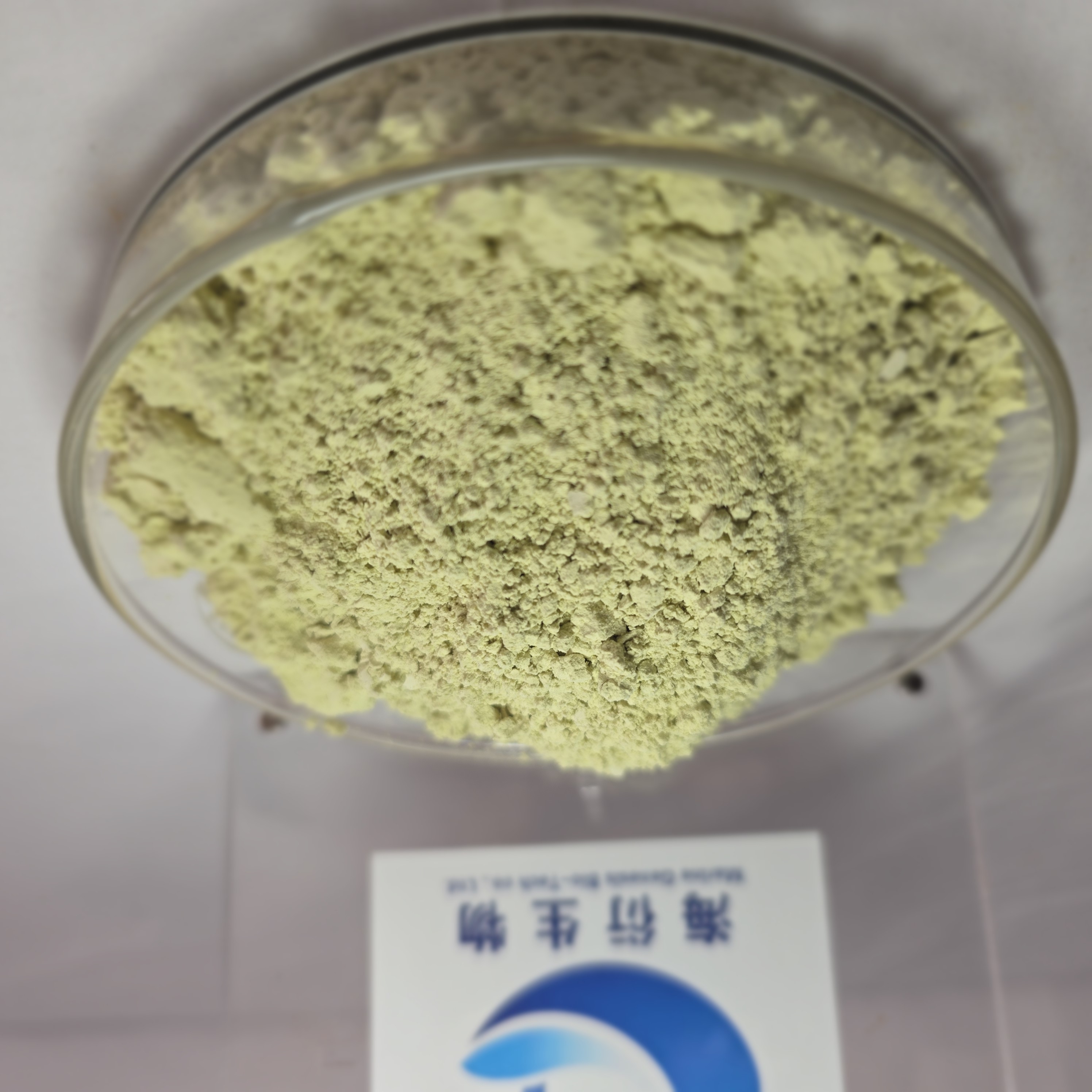 Organic Wild Herbal Extract Pumpkin Seed Protein Powder 60% Health Food Grade Marine Genesis Bio-Tech 2 Years Vacuum Packed Drum