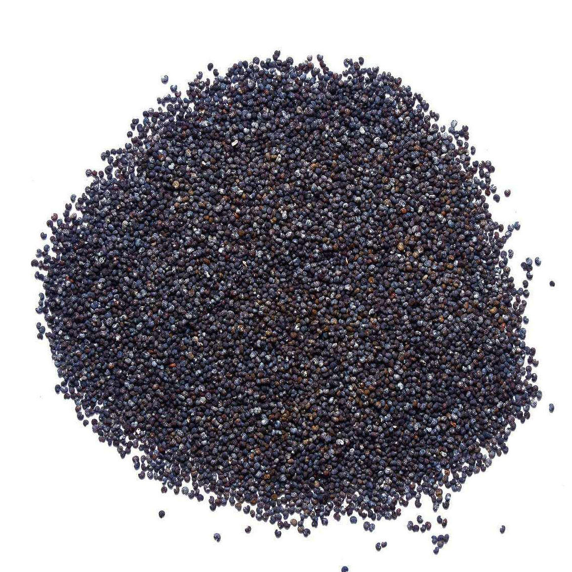 Immense Quality GTSA Brand Cleaned Dried South Africa Uniformly Sized Sustainable Healthy Nutrient Rich Canola Rapeseed