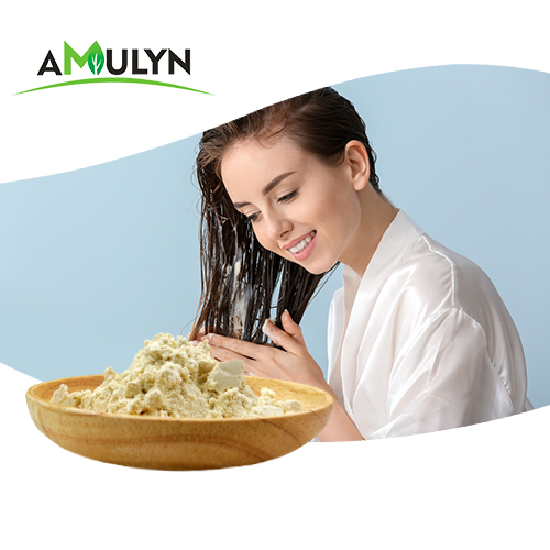 Amulyn Factory Supply Hydrolyzed Wheat Protein Powder for Not Allergic