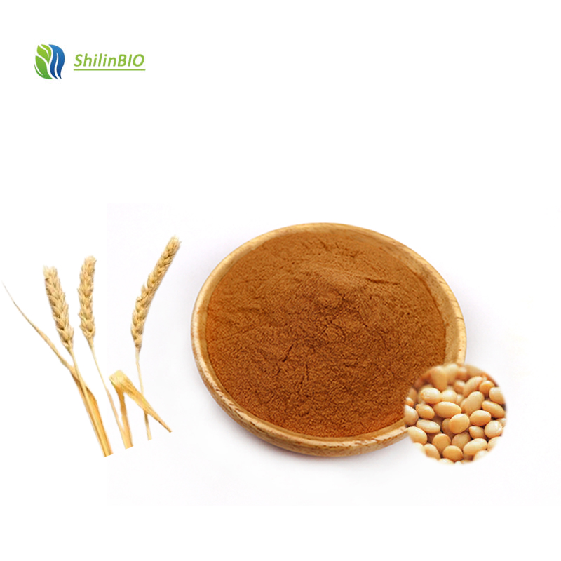 High Quality SL Brand 99% Hydrolyzed Vegetable Protein (HVP) Food Grade Herbal Extract Powder ISO22000 Certified 2 Year Shelf