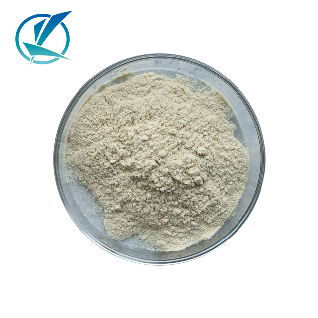 Oat Peptide Natural Plant Protein Biological Fermentation Technology Hydrolyzed Oat Protein