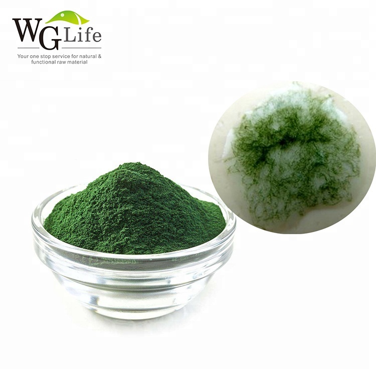 Pure Natural Raw Spirulina Algae Protein Powder 50%-90% Solvent Extracted Food Grade WGLIFE Brand Artificial Planting Drum