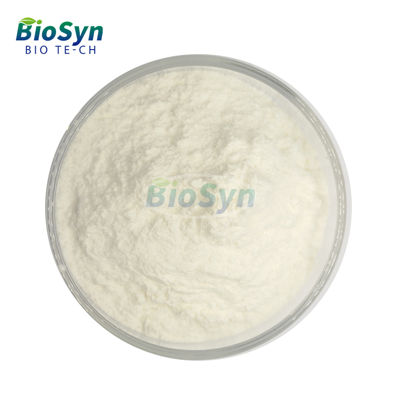 BioSyn Hot Selling Food Grade Pumpkin Seeds Extract Powder 60% Pumpkin Seed Protein Powder
