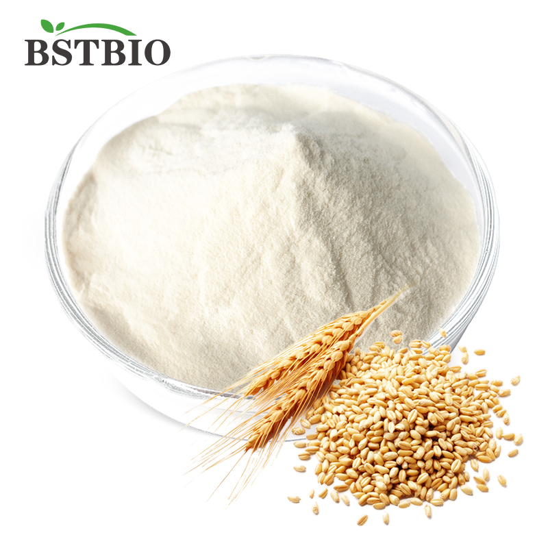 Wheat Protein Powder