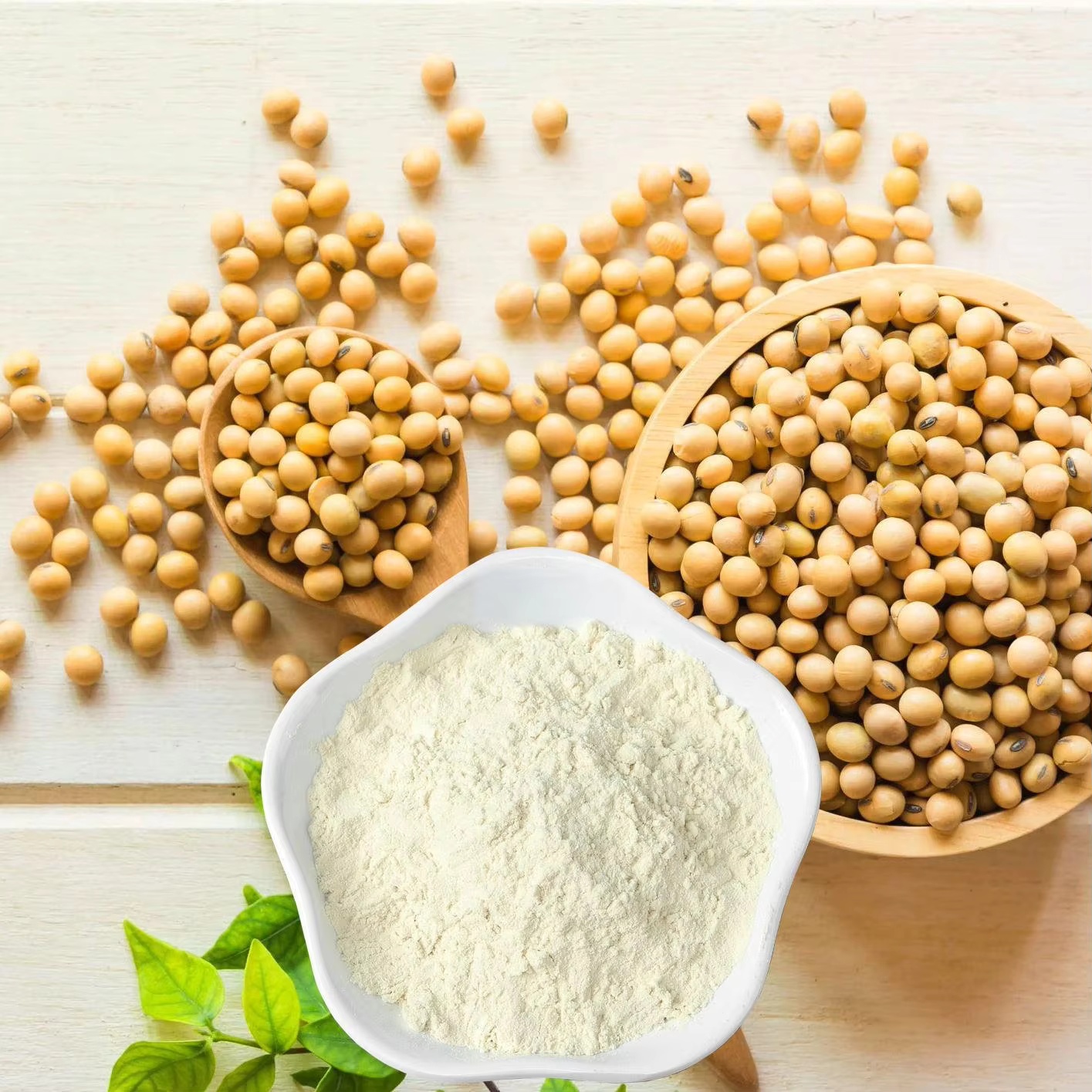 Soy Extraction Laboratory Process