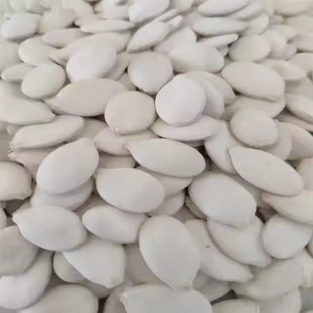 Shine Skin Pumpkin Seed