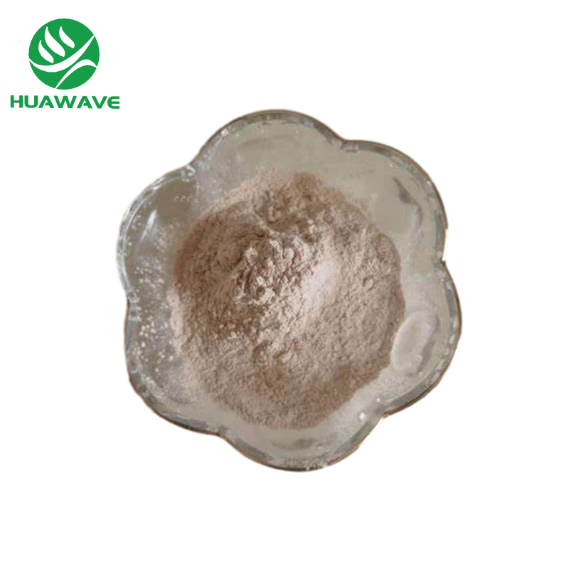 Dietary Supplement Rich in Oat Flavour Non-Additive Oat Milk Powder High Quality Oat Protein Powder