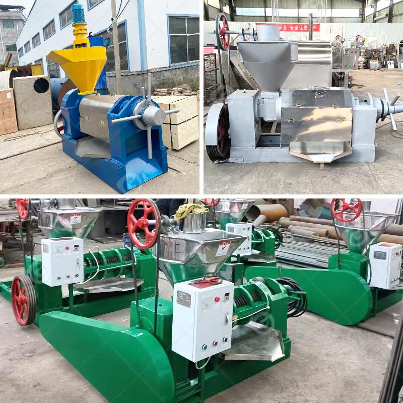 Soyabean Oil Production Make Tanzania Canola Soybean Vegetable Palm Sunflower Pressing Extraction Machine for Seed