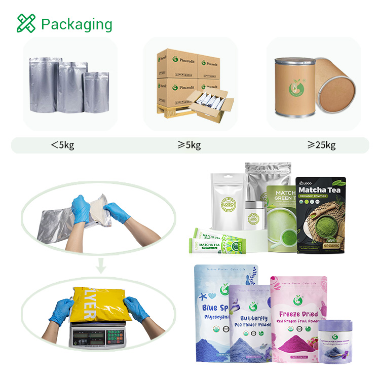 Wholesale Bulk Price Pumpkin Seed Extract Powder Pumpkin Seed Protein 70%