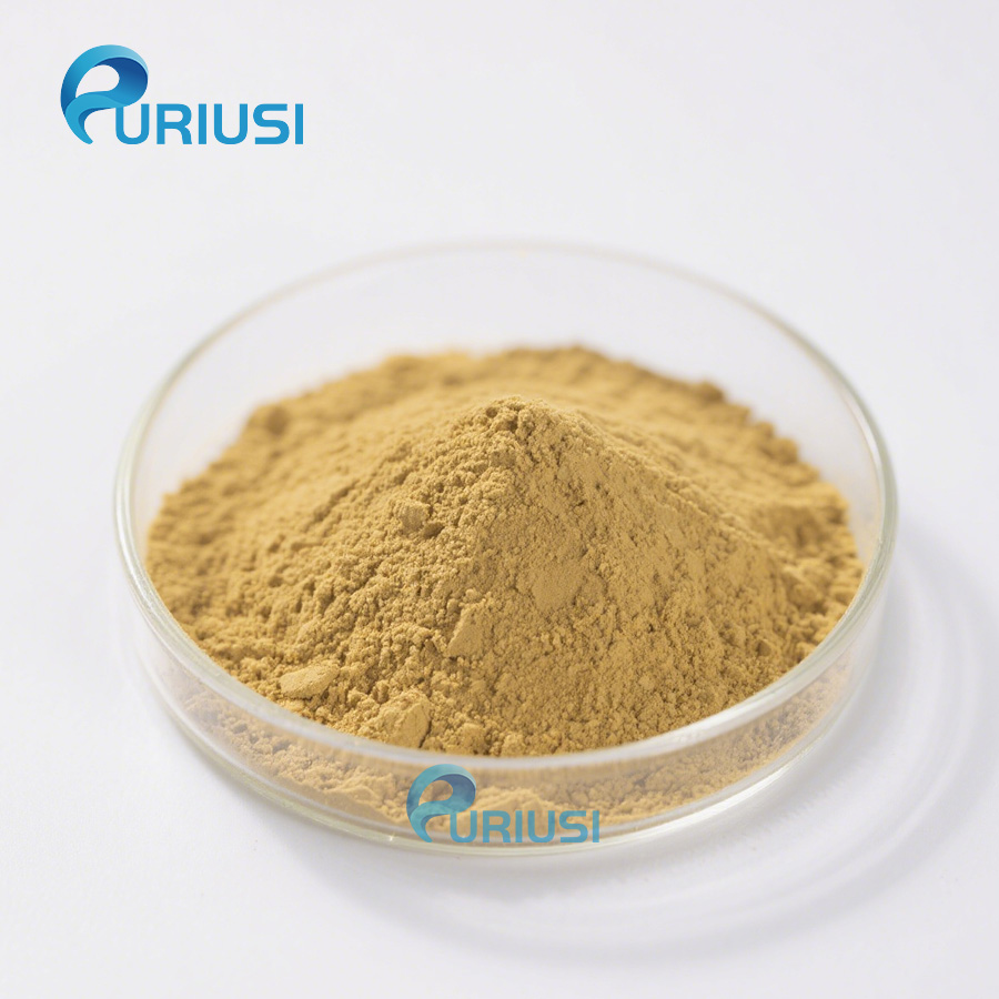 Wholesale High Quality Natural Mung Bean Protein Isolate Powder 85% Mung Bean Protein