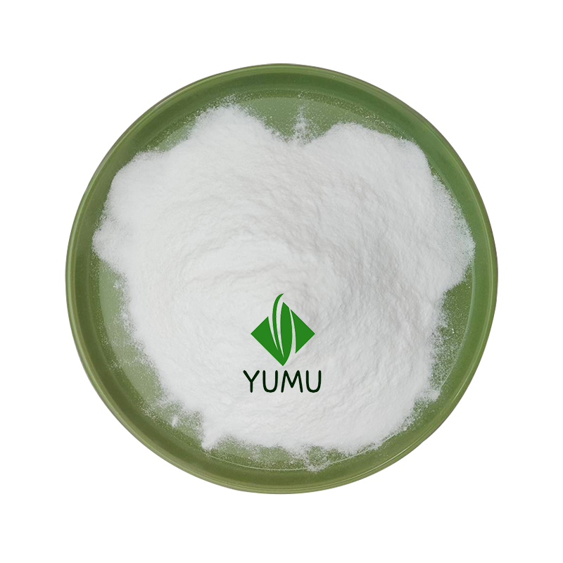 Cosmetic Grade Rice Protein Powder