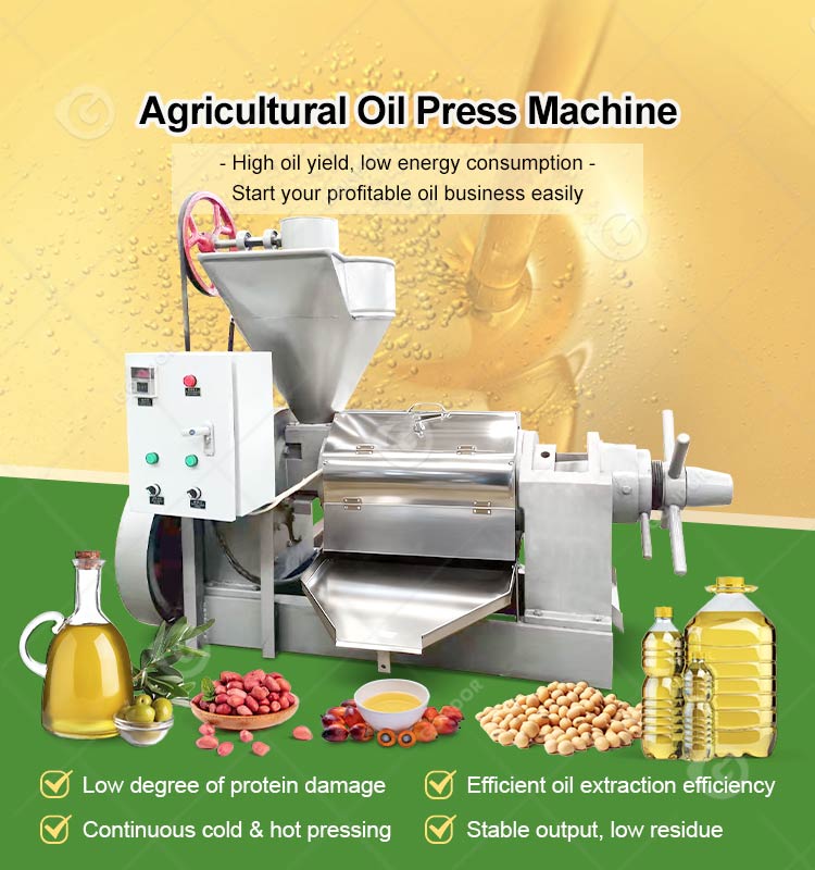 Canola Soybean Vegetable Oil Pressing Extraction Machine