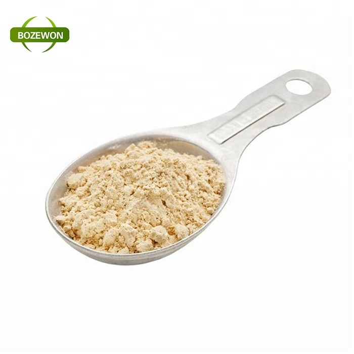 Fava Bean Protein Powder For Anti-Aging Function