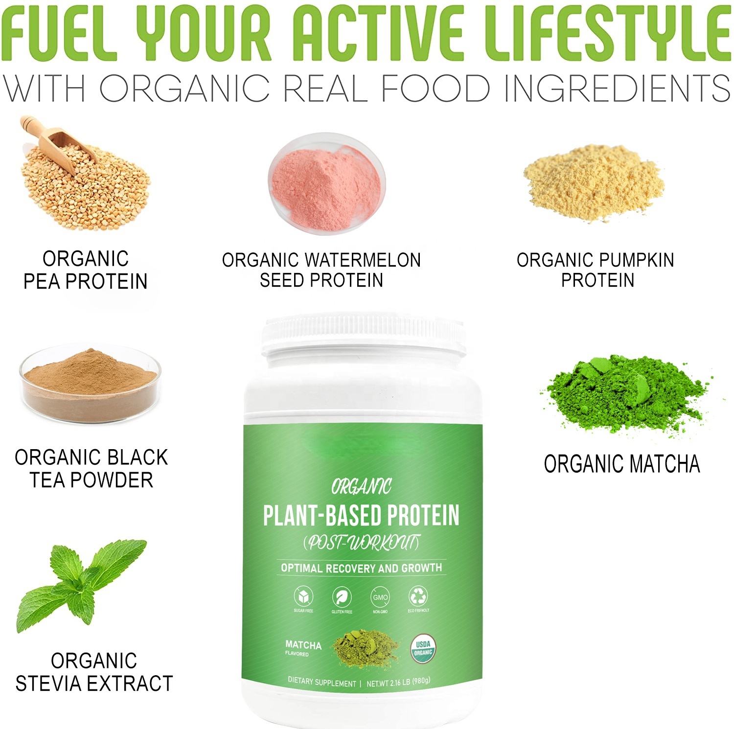 Private Label Organic Matcha Flavor Sugar-Free Plant Based Protein Powder for Trainer Post-Workout Energy Muscle Building