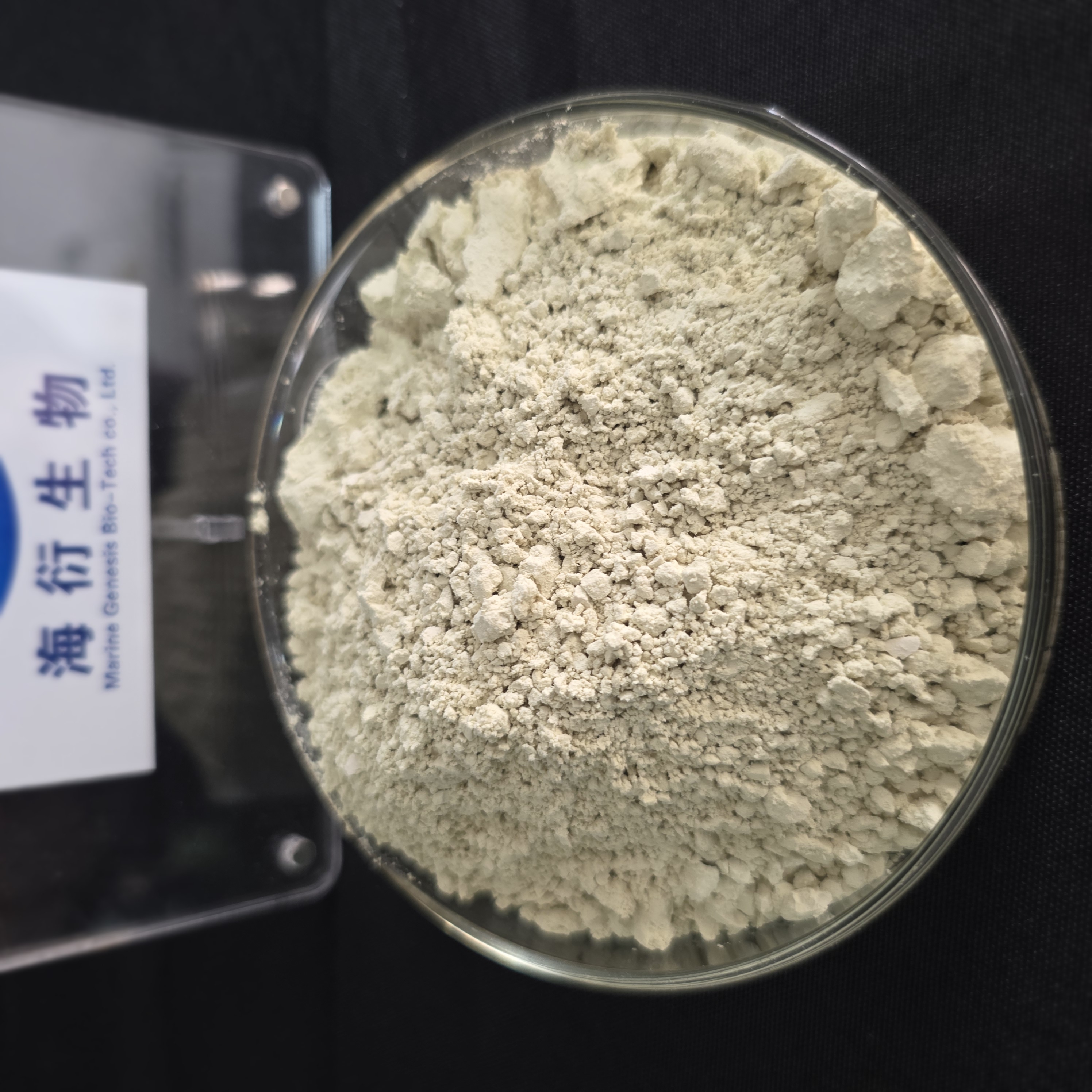 Organic Wild Herbal Extract Pumpkin Seed Protein Powder 60% Health Food Grade Marine Genesis Bio-Tech 2 Years Vacuum Packed Drum