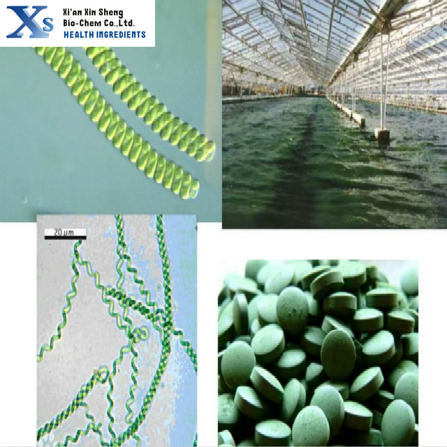 High Quality GMP Kosher Halal Food Grade Natural Green Algae Spirulina Powder 50%-60% Protein ISO9001 Certified Vacuum Packed