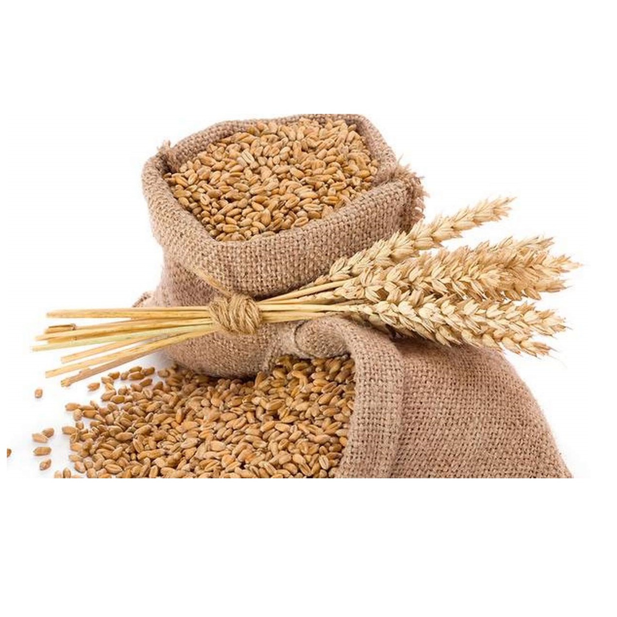 Quality Organic Durum Wheat Grains-Brown Long Grains 100% Purity 11-12% Protein Netherlands Origin