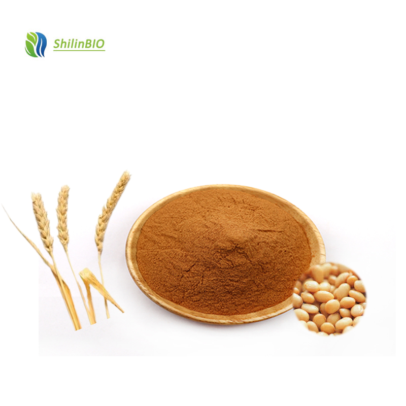 High Quality SL Brand 99% Hydrolyzed Vegetable Protein (HVP) Food Grade Herbal Extract Powder ISO22000 Certified 2 Year Shelf