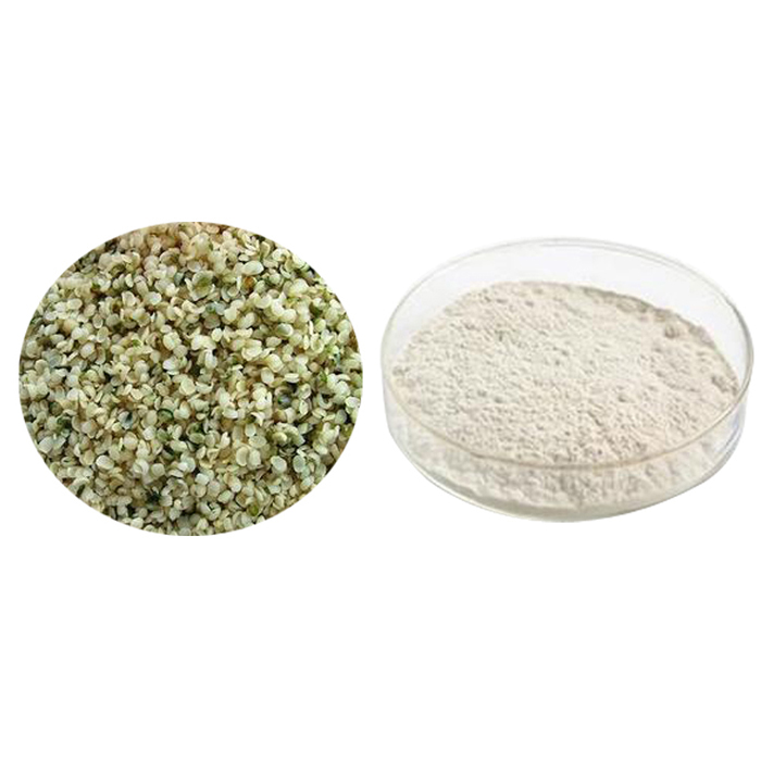 Food Grade Pure Natural Hemp Seed Extract 70% Protein Powder Organic Hemp Protein Powder Healthcare Supplement