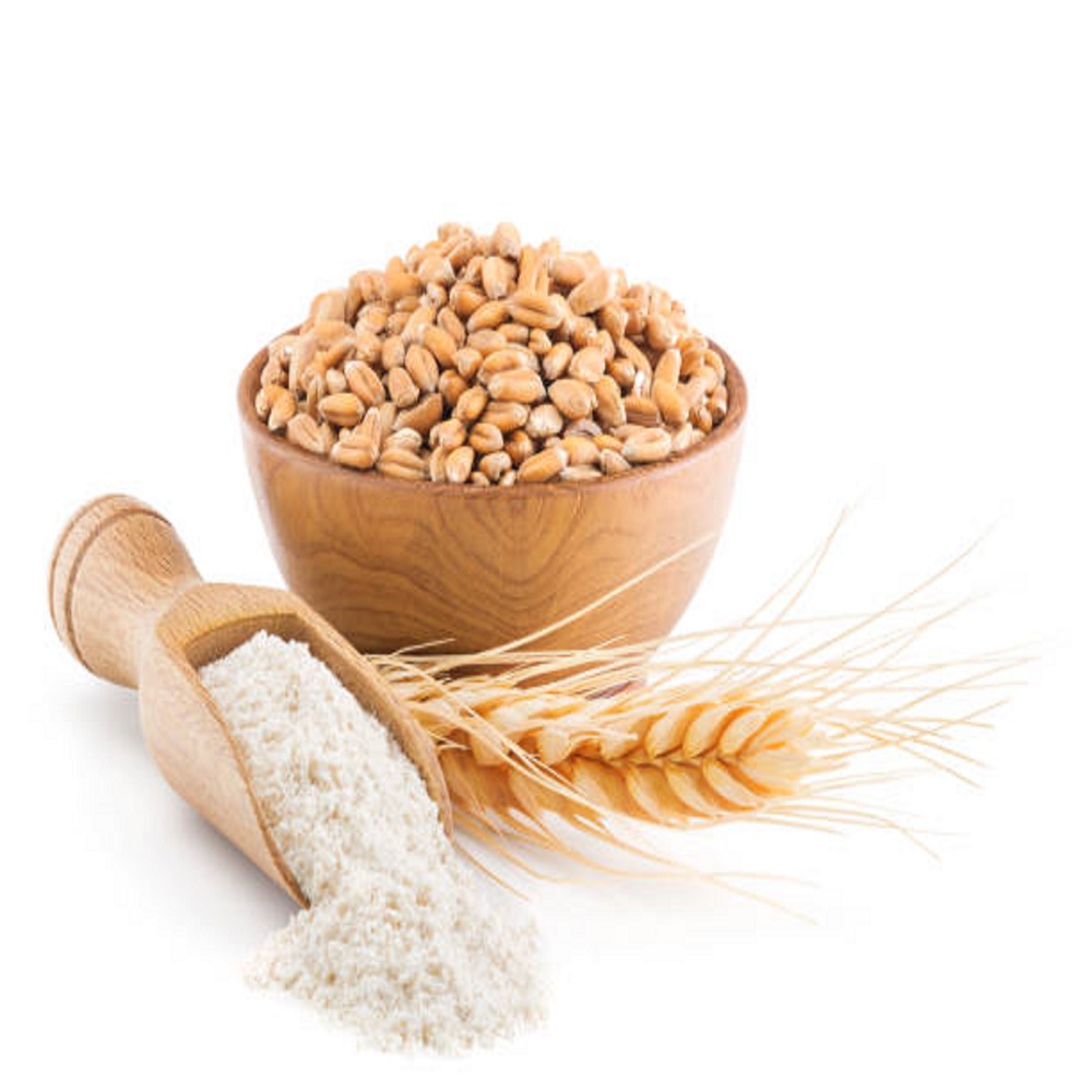 Quality Organic Durum Wheat Grains-Brown Long Grains 100% Purity 11-12% Protein Netherlands Origin