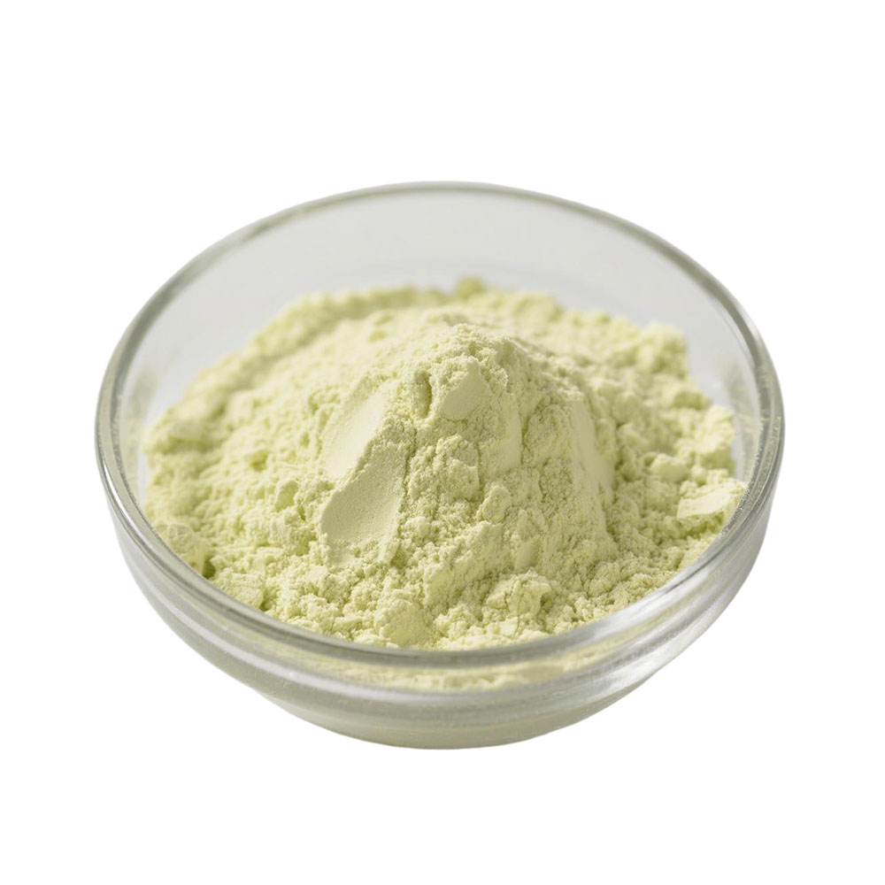 Pumpkin Seed Protein Processing 3