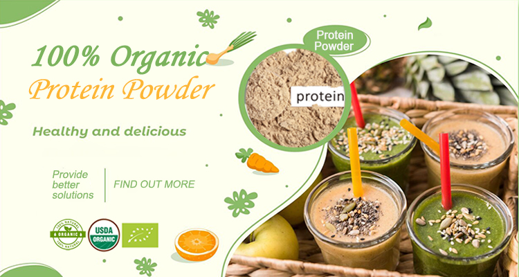 Best Selling Products Plant Extract Kosher Organic Bran Organic Brown Rice Extract Rice Protein Powder 80%