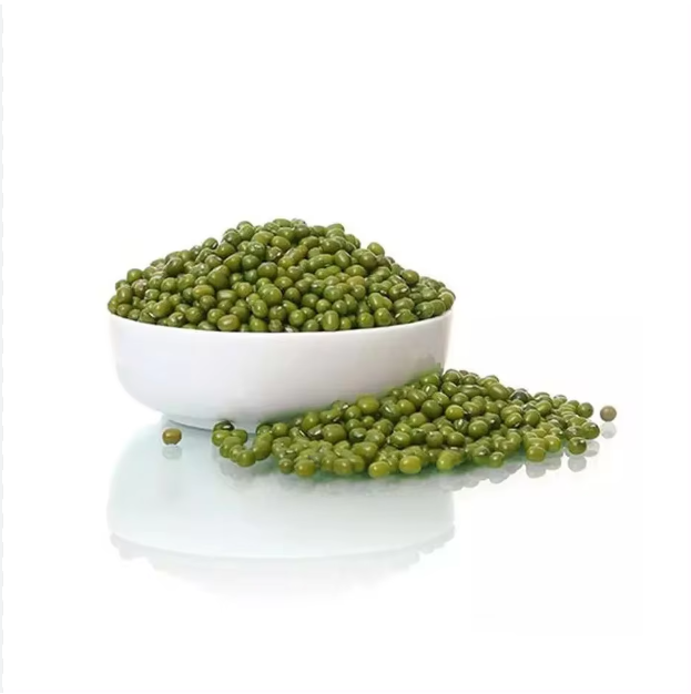 Mung Beans Detail 6