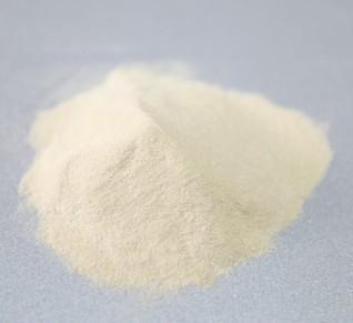 White Fava Bean Protein Isolate Powder Aloe Vera Extract Fruit Supplement HPLC Tested Variety of Broad Bean Extract