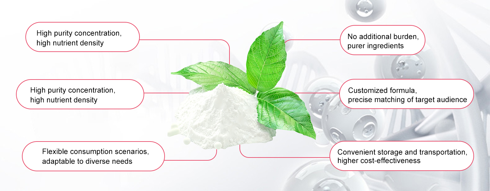 Global Powder Market Trends