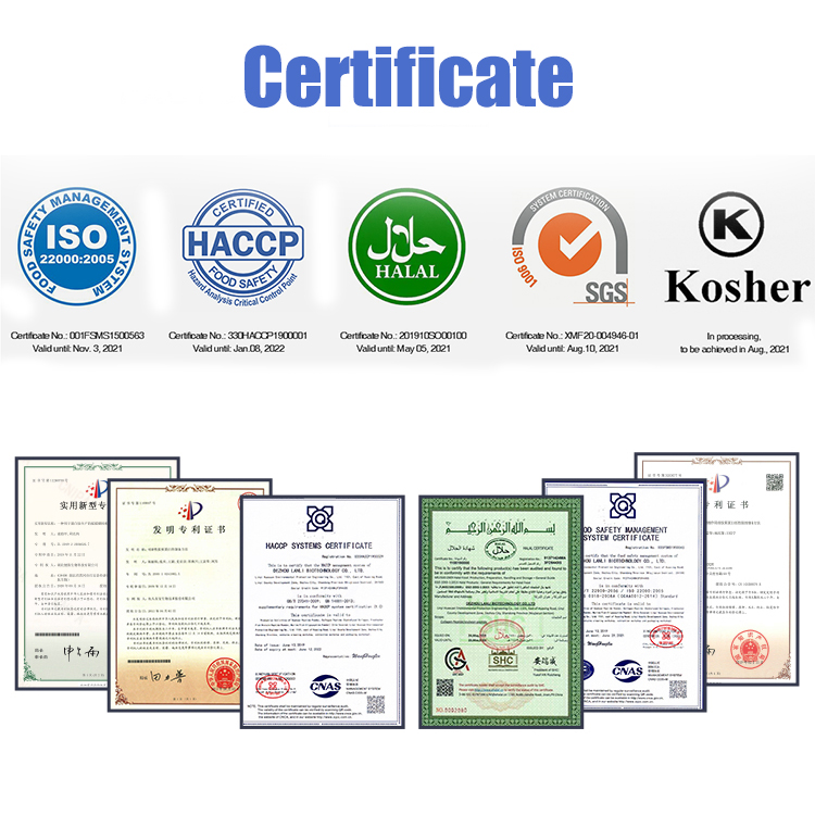 Wholesale Hydrolyzed Wheat Protein Halal Vegan Collagen Peptide Plant Protein Powder Vegetable Peptides Powder