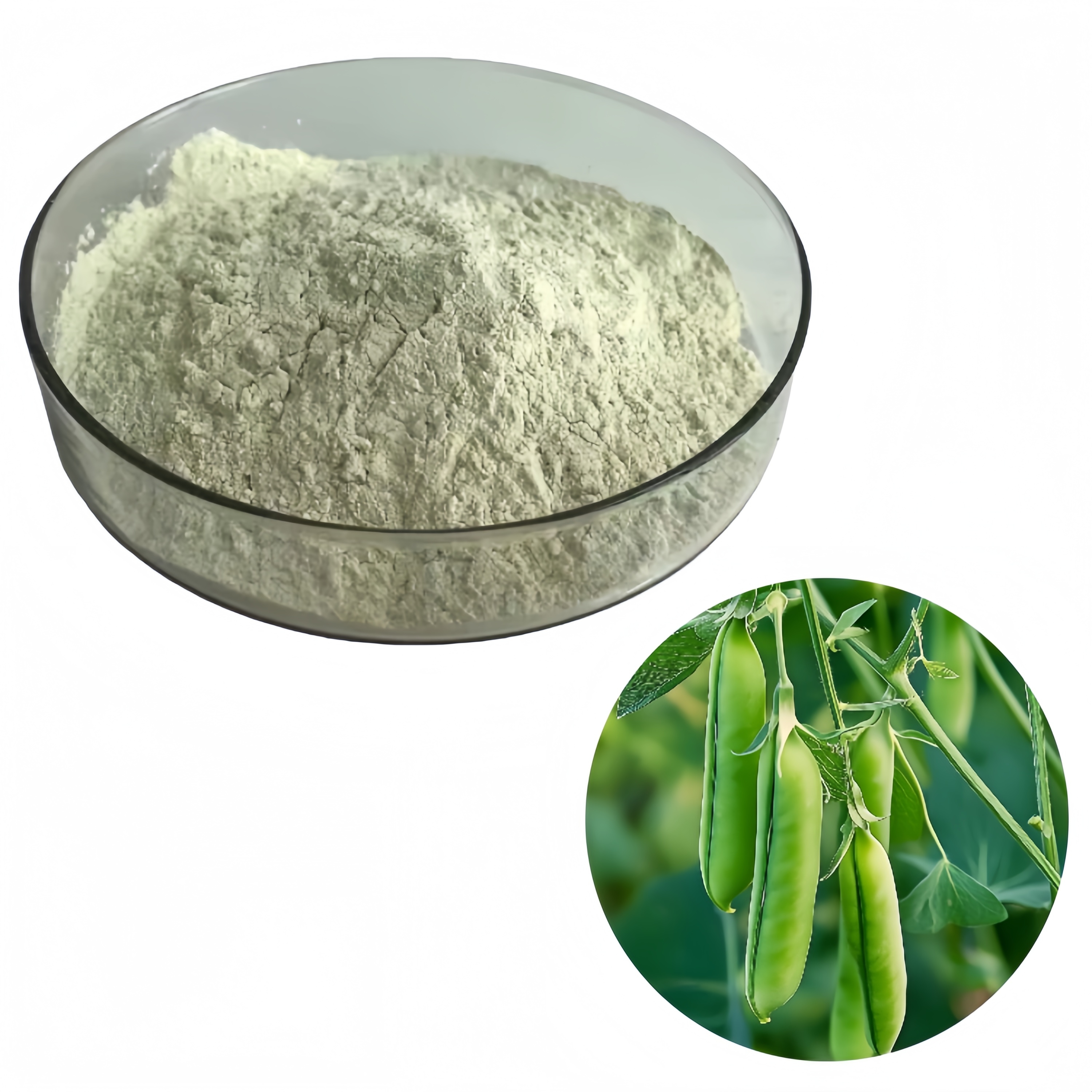 Factory Supply Wholesale Price Pisum Sativum Extract Pea Protein 80%