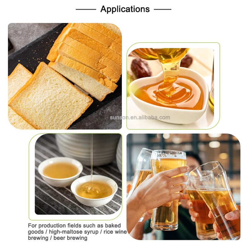 Liquid Fungal Alpha-Amylase For Baking, Beer &amp; Maltose Syrup | From Aspergillus Oryzae | Heat-Labile Enzyme