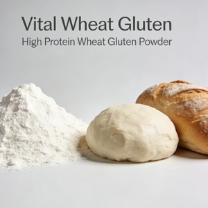 Wheat Protein Powder Vital Gluten for Flour Strengthening &amp; Dough Improvement with MOQ 1000KGS