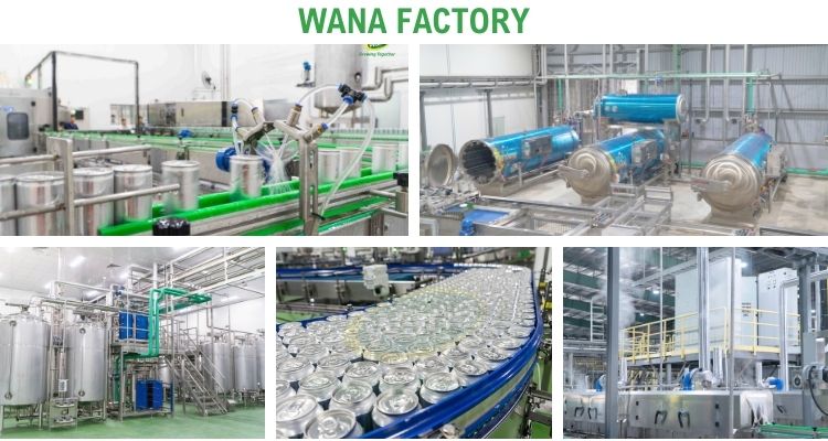 Best Choice Oatmeal Protein Shake Beverage 250ml/320ml Serving for Energy Boost At Wana Beverage Factory From Vietnam