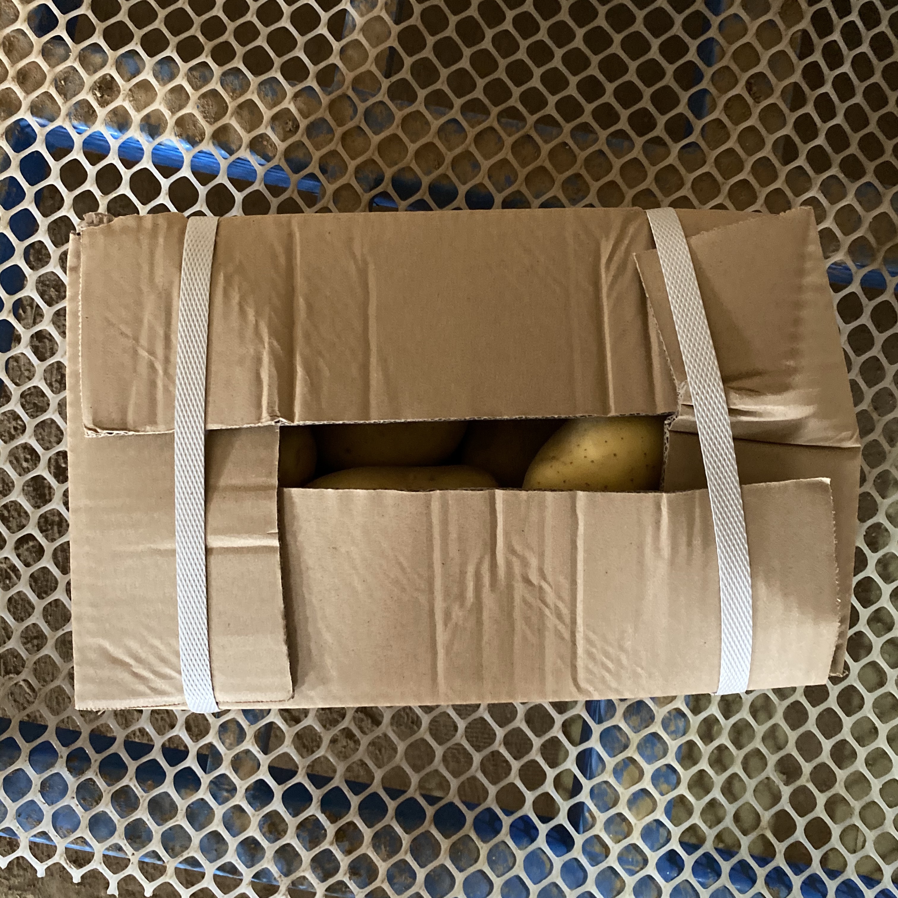 Packaging Box Option