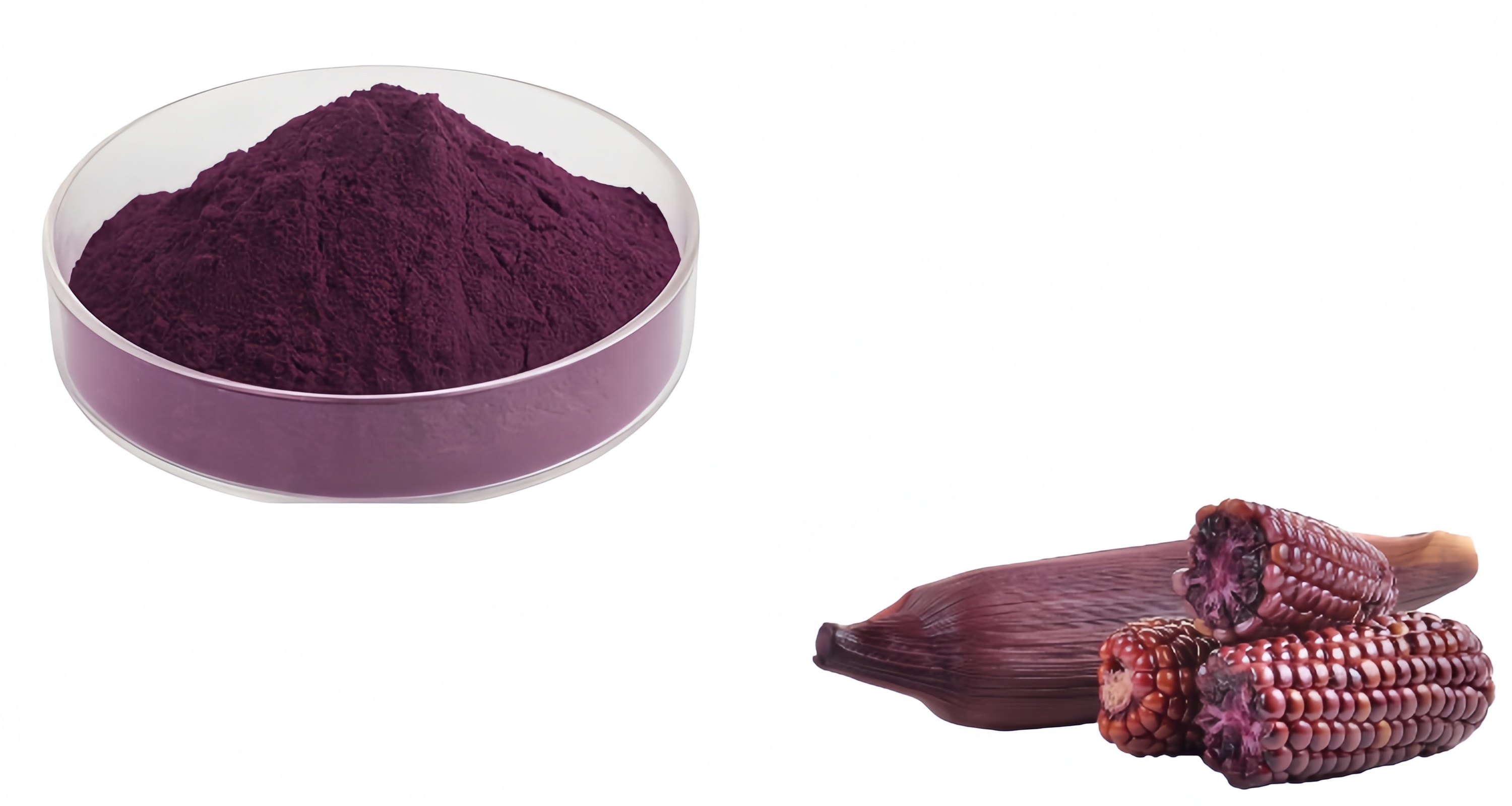 Purple Corn Seed Extract Powder