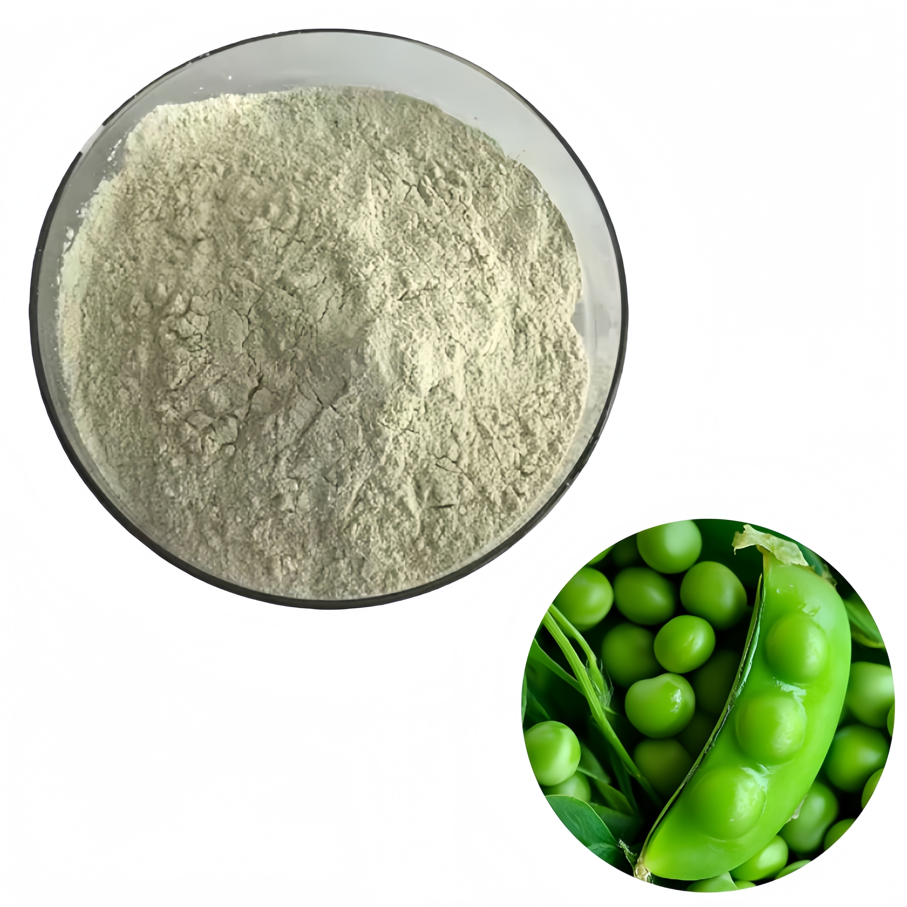 Factory Supply Wholesale Price Pisum Sativum Extract Pea Protein 80%