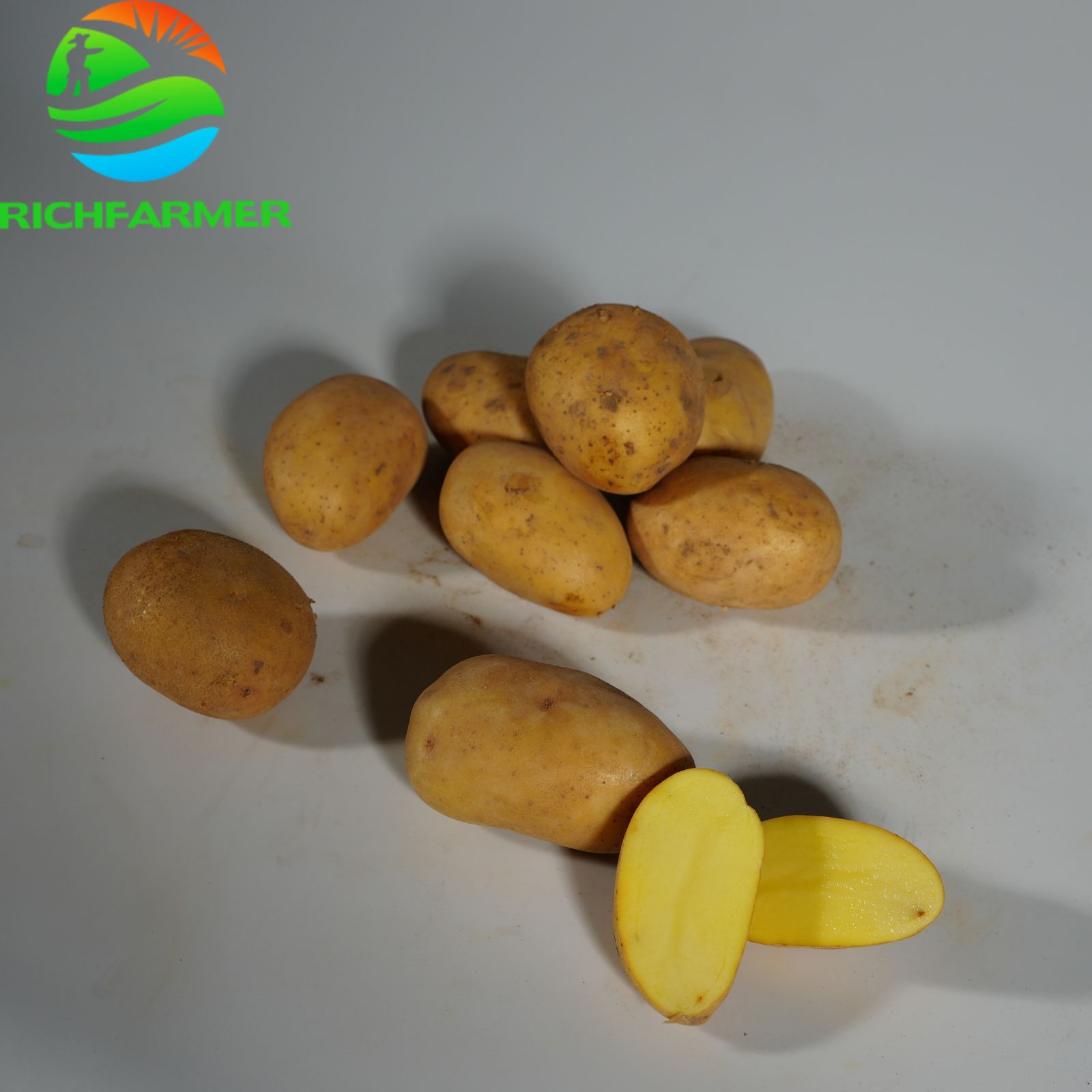 2026 Fresh Potatoes Vegetables Export Worldwide High Quality Wholesale