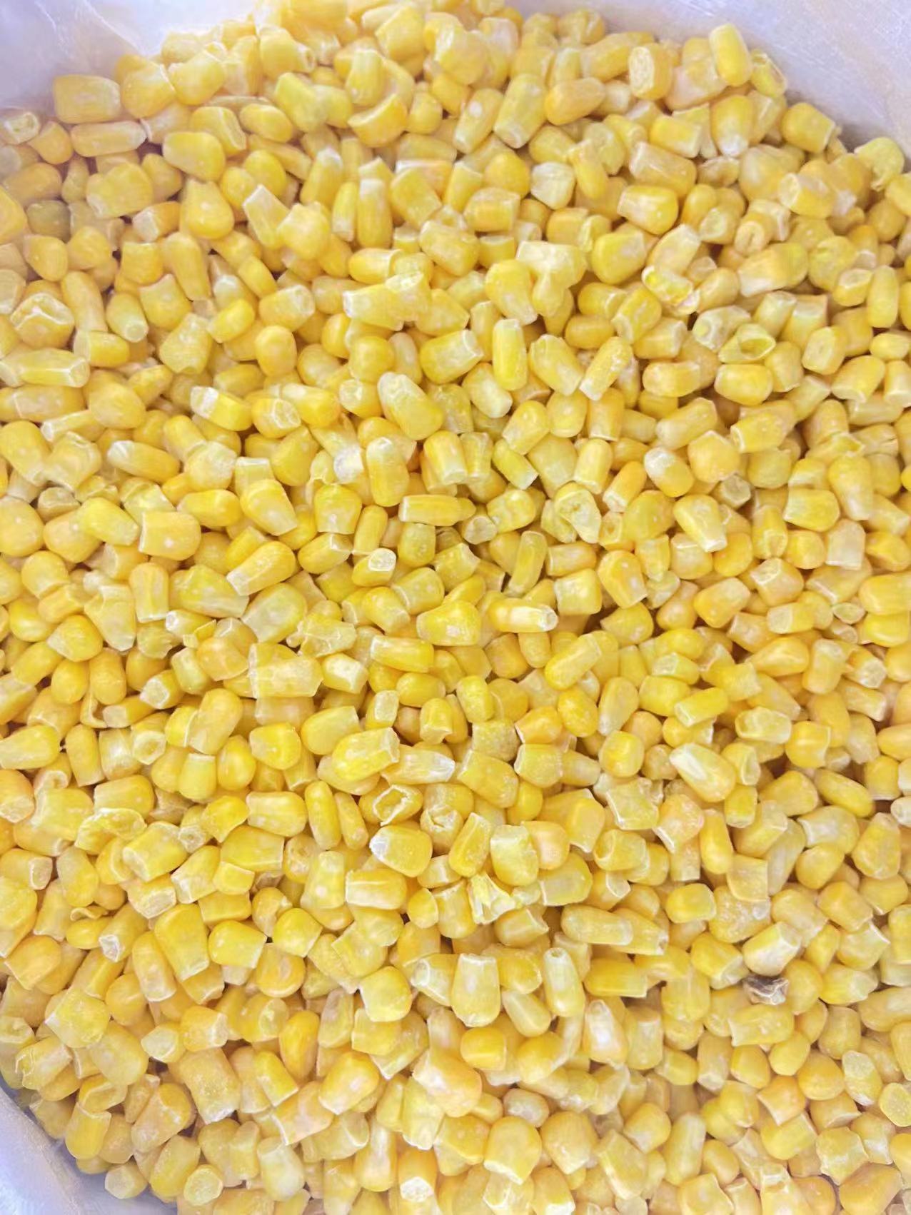 Frozen sweet corn kernels packaging display