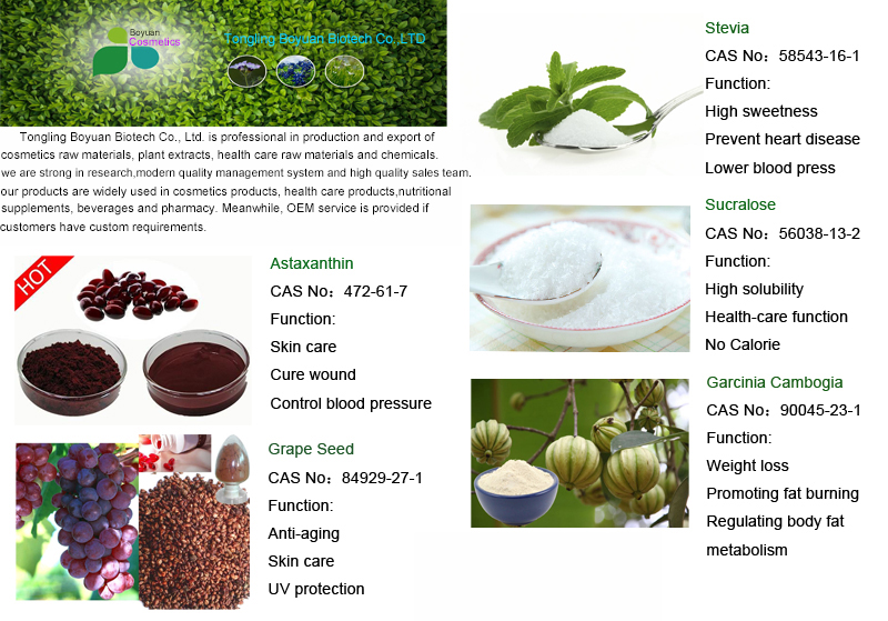 Food Grade Pure Natural Hemp Seed Extract 70% Protein Powder Organic Hemp Protein Powder Healthcare Supplement