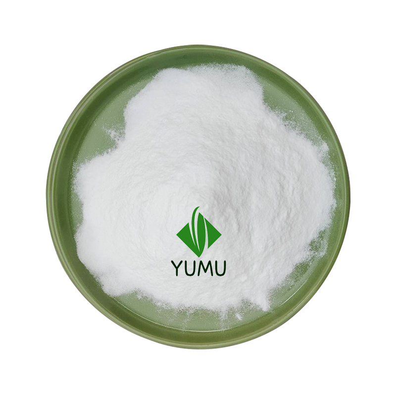 Cosmetic Grade Rice Protein Powder