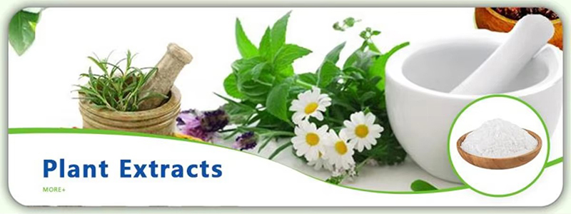 Food Grade Pure Natural Hemp Seed Extract 70% Protein Powder Organic Hemp Protein Powder Healthcare Supplement