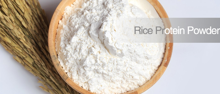 Wholesale Hot Sale Bulk Food Grade Hydrolyzed Rice Protein Powder