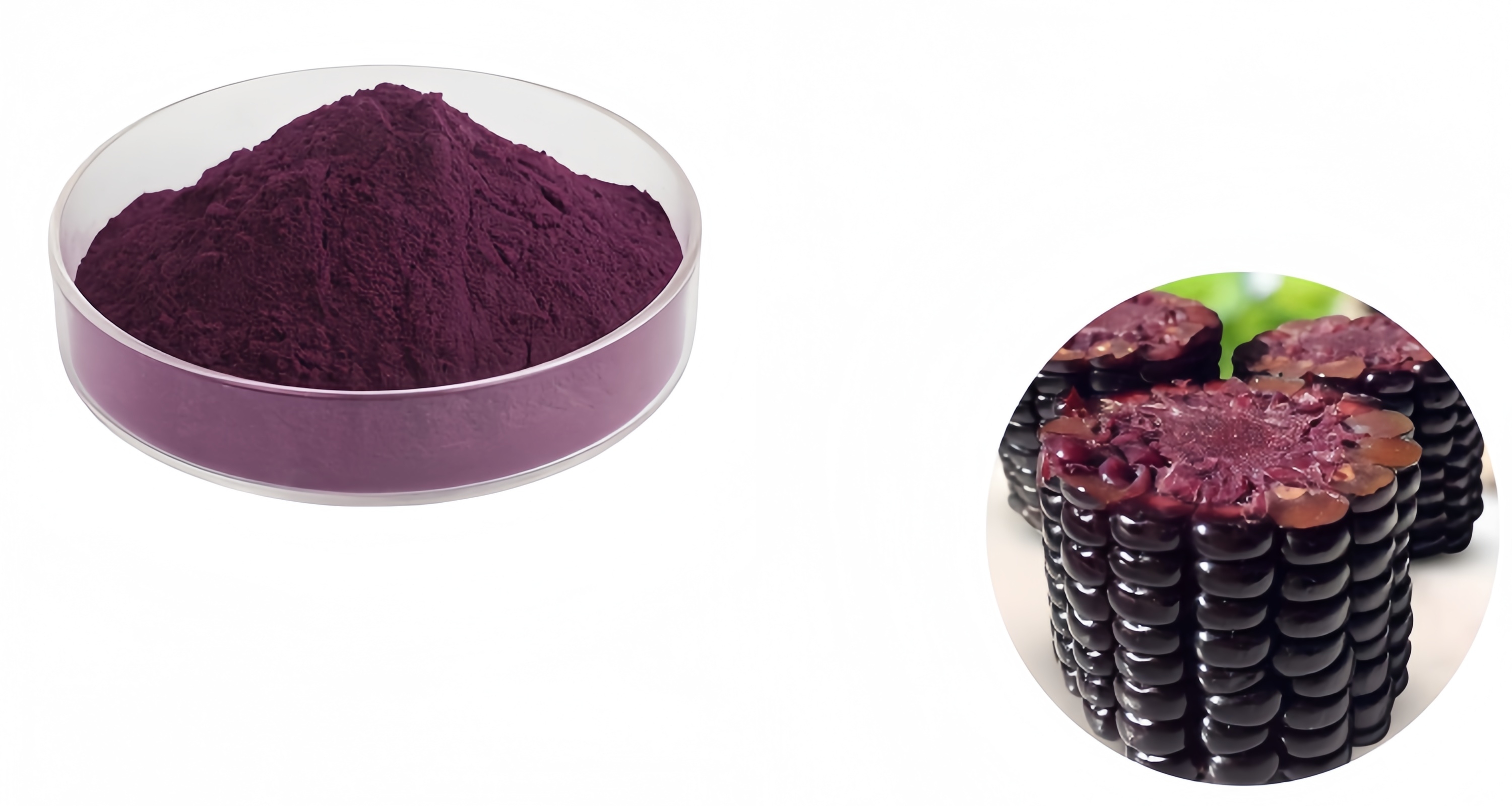 Anthocyanins Purple Corn