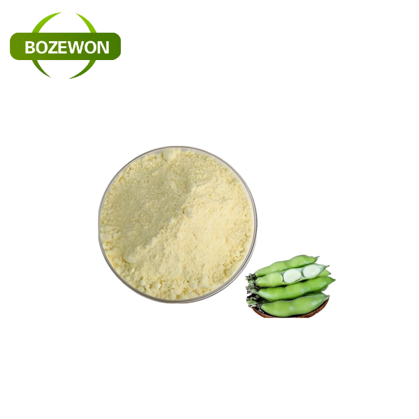 Food Grade Natural 90% Fava Bean Protein Powder