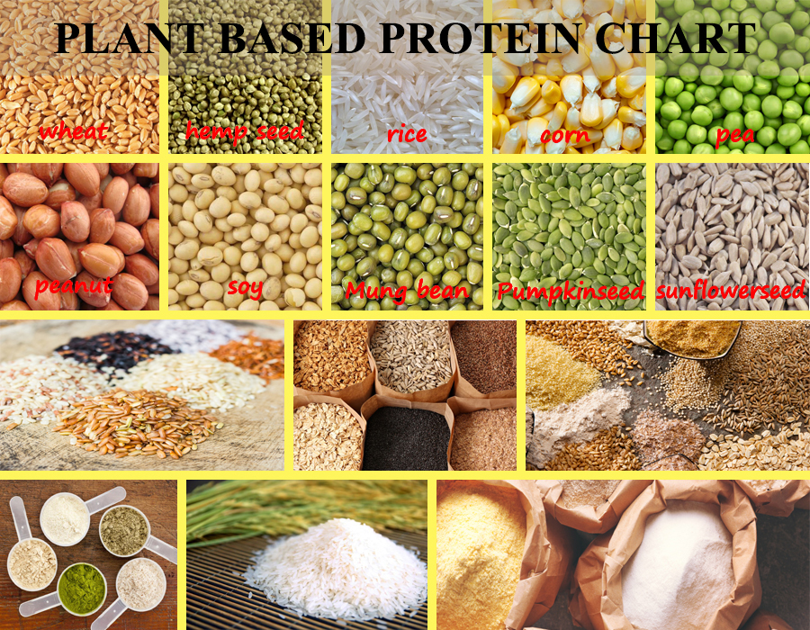 Natural Protein Powder Processing