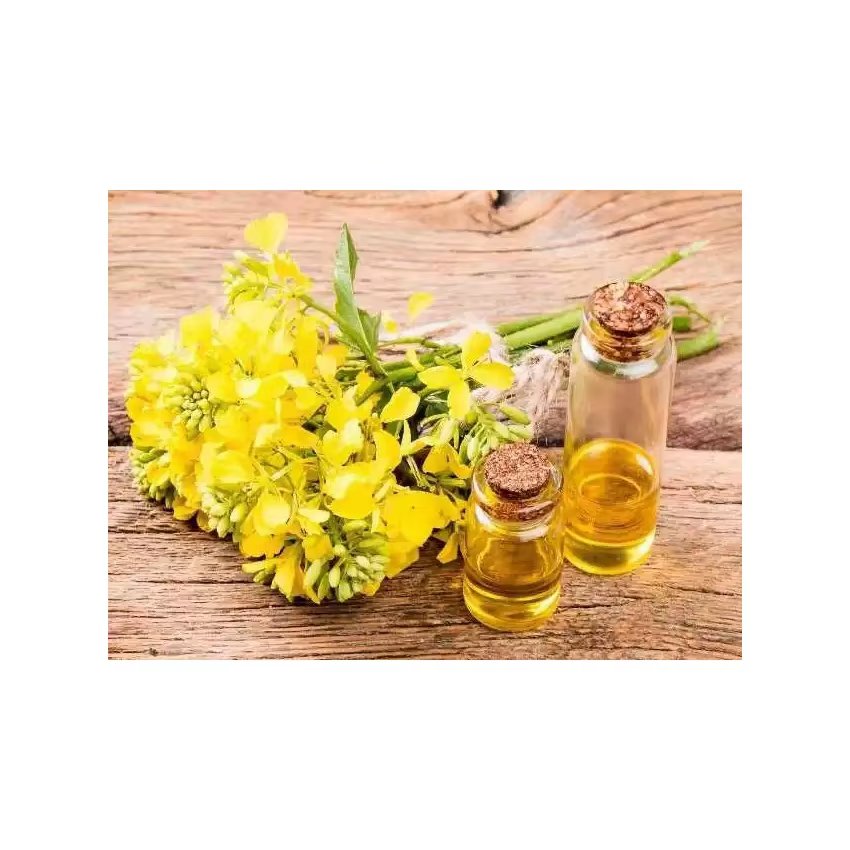 Canola Seeds Dried Healthy Food Grain for Oil Production From Belgium with 24 Months Shelf Life