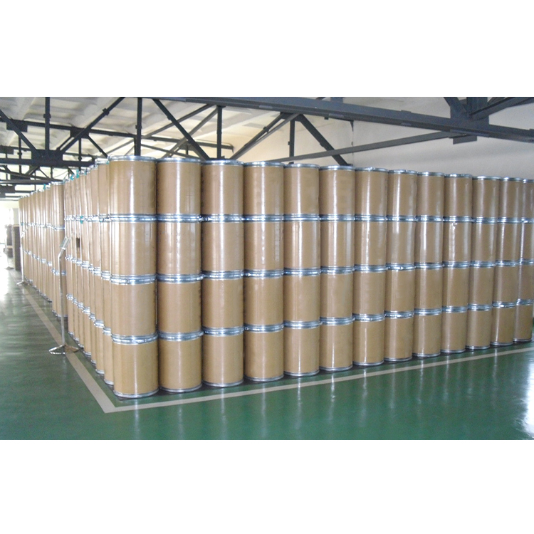 Wholesale Hot Sale Bulk Food Grade Hydrolyzed Rice Protein Powder